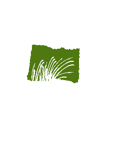 Tallus Ridge